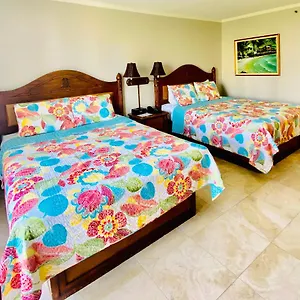 https://cozy-studio-with-free-parking-in-waikiki.hotelsinhawaii.org
